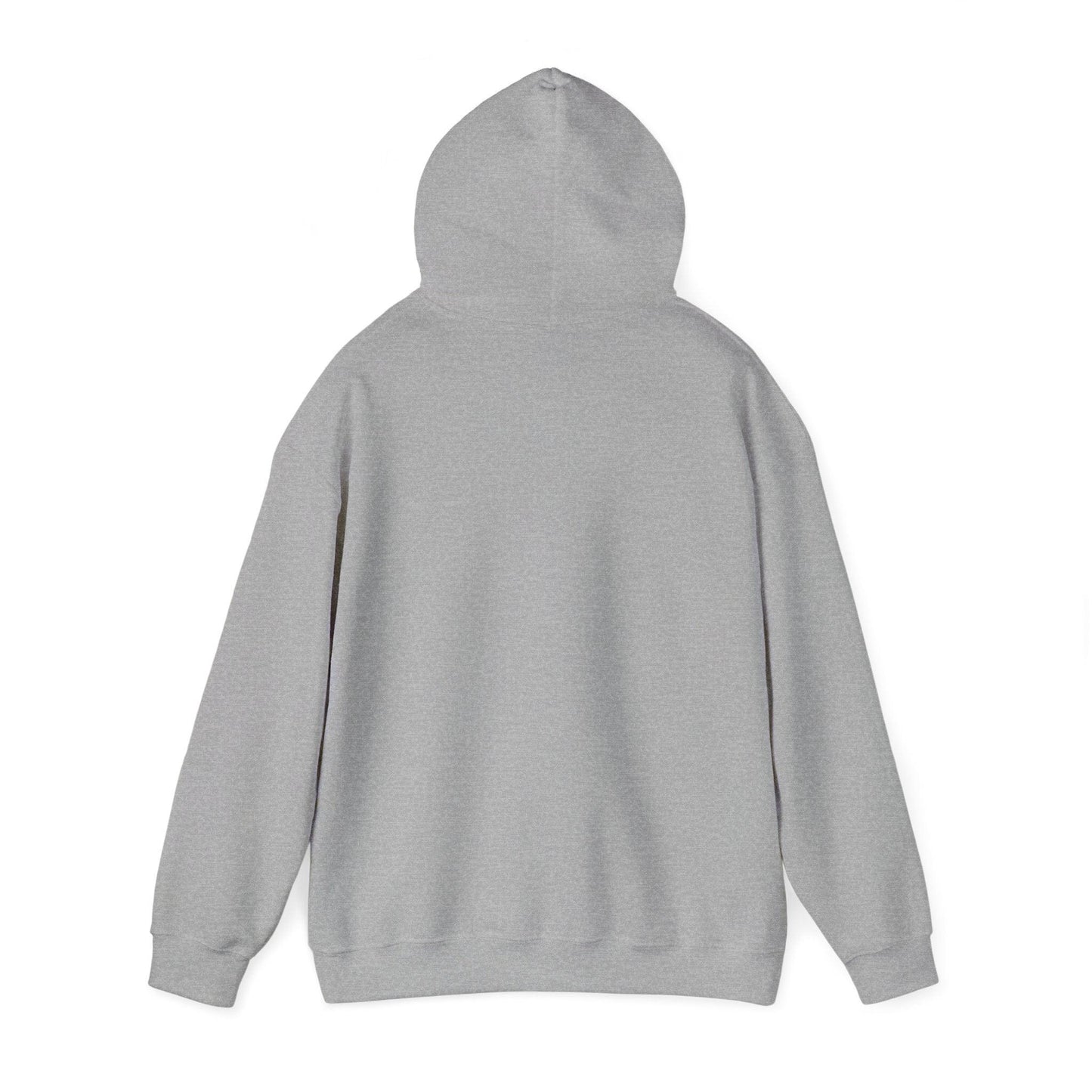 Grand Teton Hooded Sweatshirt - Dyno Sky