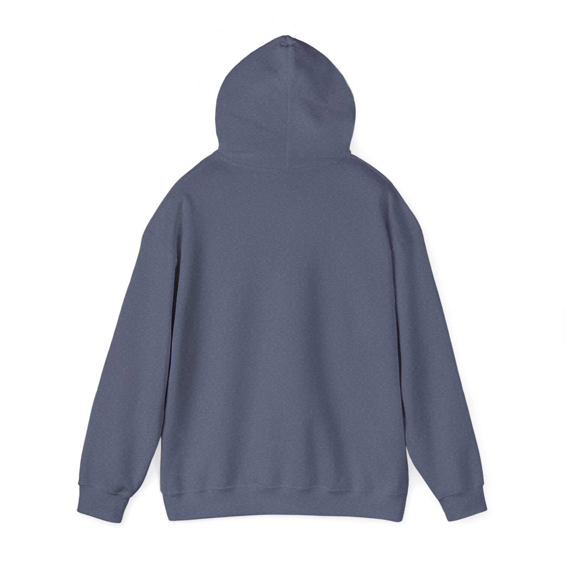 Grand Teton Hooded Sweatshirt - Dyno Sky