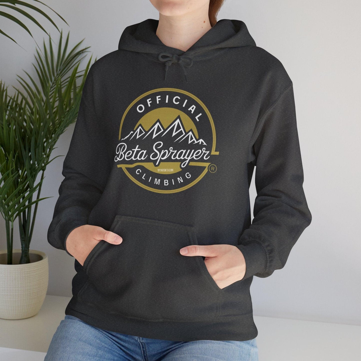 Official Beta Sprayer Climber Hoodie - Dyno Sky