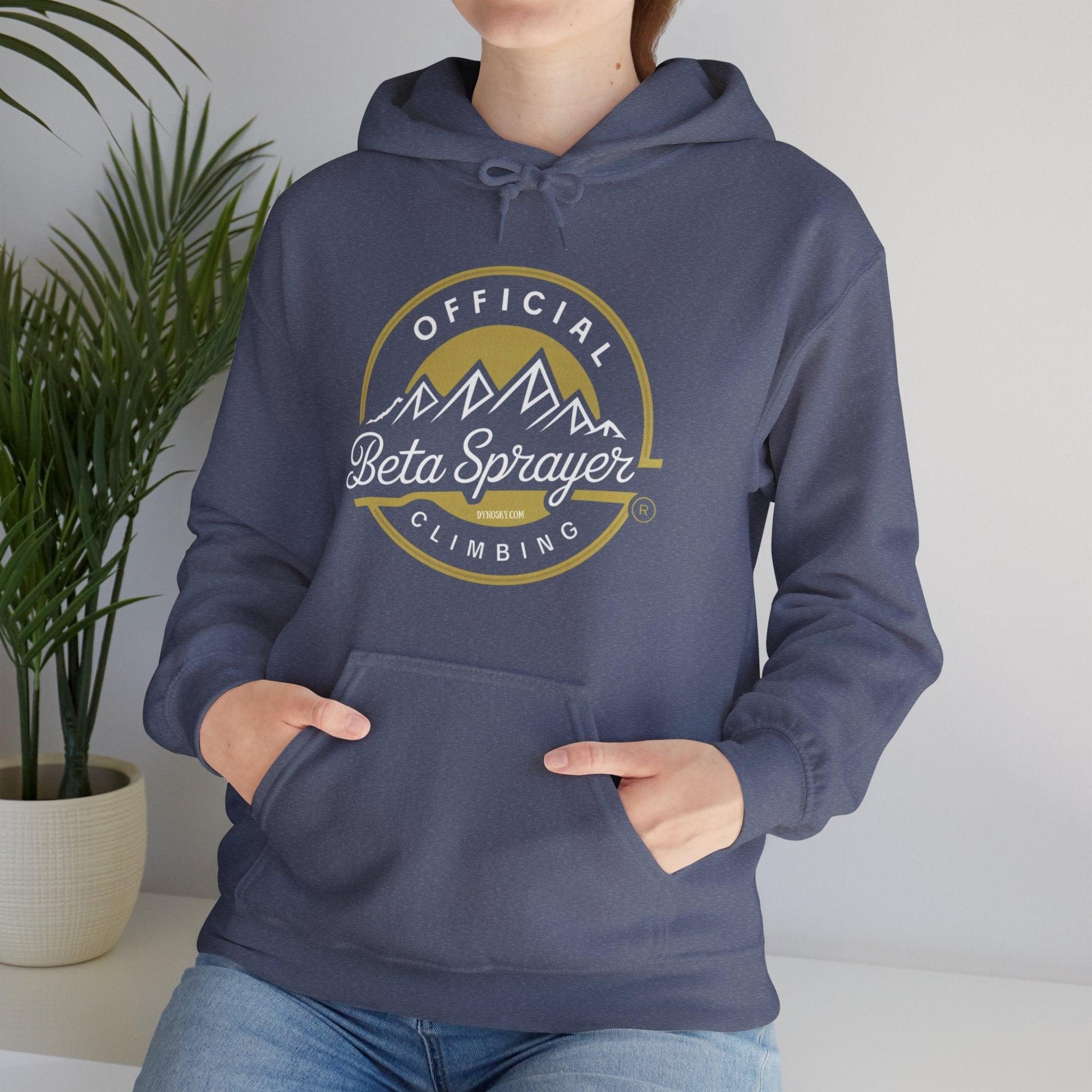 Official Beta Sprayer Climber Hoodie - Dyno Sky