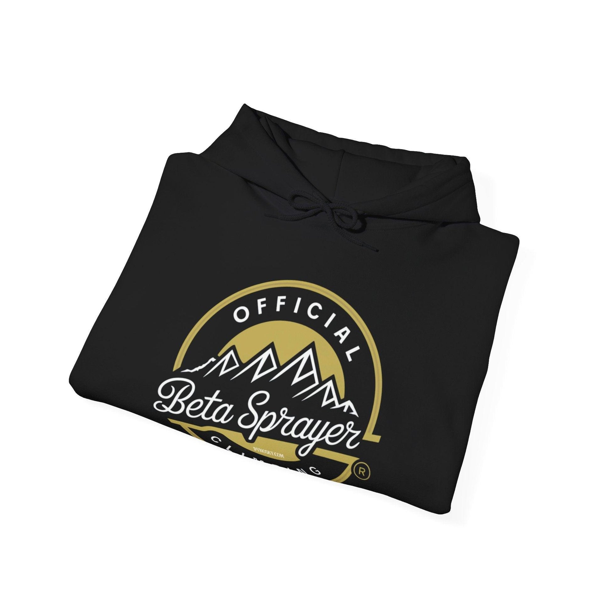 Official Beta Sprayer Climber Hoodie - Dyno Sky