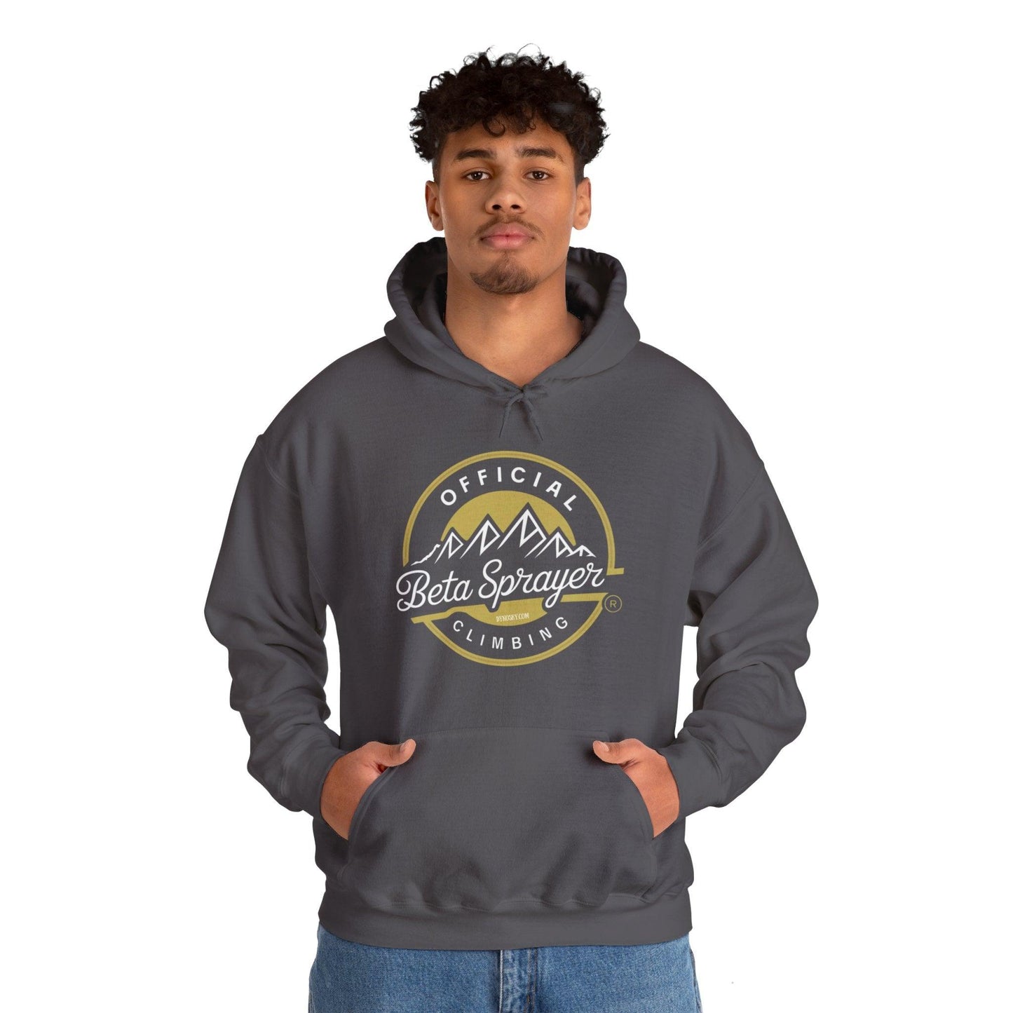 Official Beta Sprayer Climber Hoodie - Dyno Sky