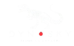 Dyno Sky